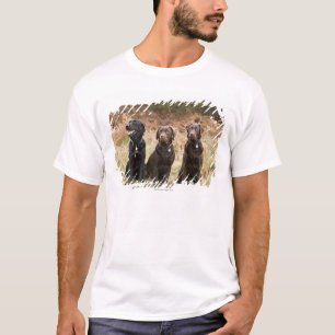 Three Black Labrador retrievers T-Shirt