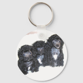 Three black/silver Toy poodle puppies Key Ring
