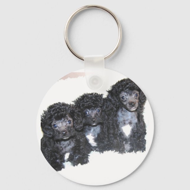 Three black/silver Toy poodle puppies Key Ring (Front)