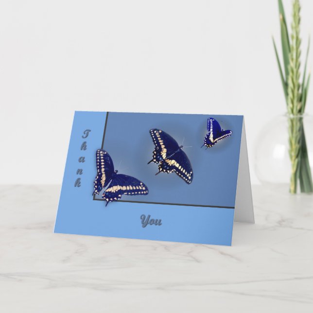 Three Black Swallowtail Thank You Card (Front)