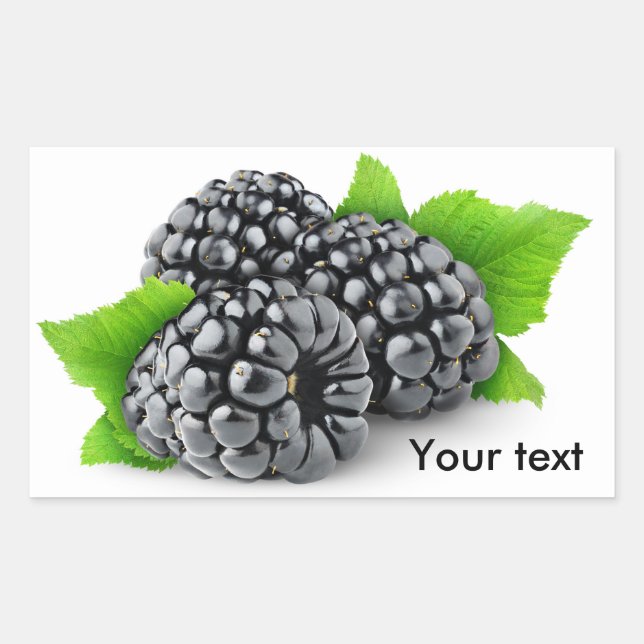 Three blackberries with leaves rectangular sticker (Front)
