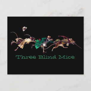 Three Blind Mice Postcard