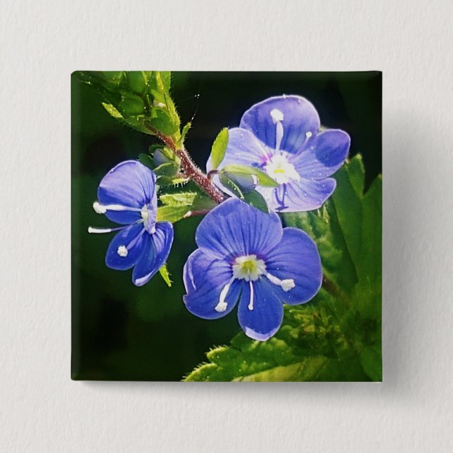 Three Blue Flowers  15 Cm Square Badge (Front)