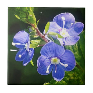 Three Blue Flowers Ceramic Tile