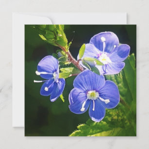 Three Blue Flowers Flat Card