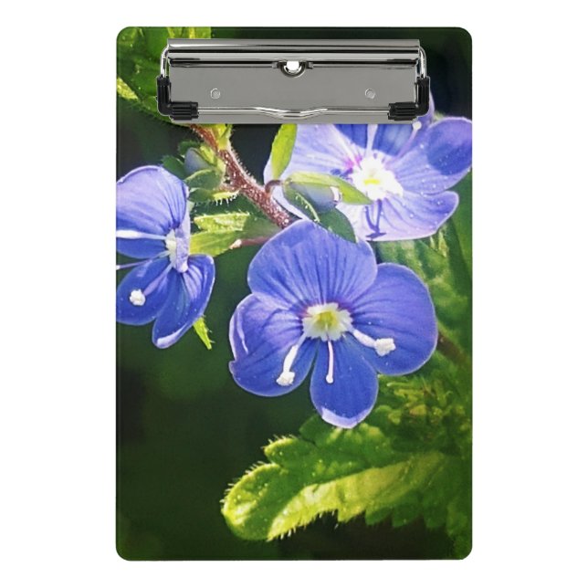 Three Blue Flowers  Mini Clipboard (Front)