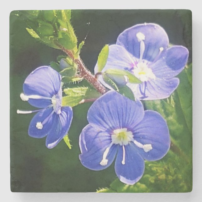 Three Blue Flowers  Stone Coaster (Front)