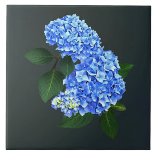 Three Blue Hydrangea Ceramic Tile