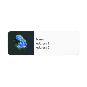 Three Blue Hydrangea Return Address Label