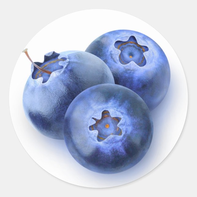 Three blueberries classic round sticker (Front)