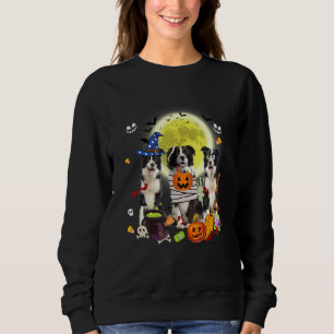 Three Border Collie Dogs Witch Scary Mummy Hallowe Sweatshirt