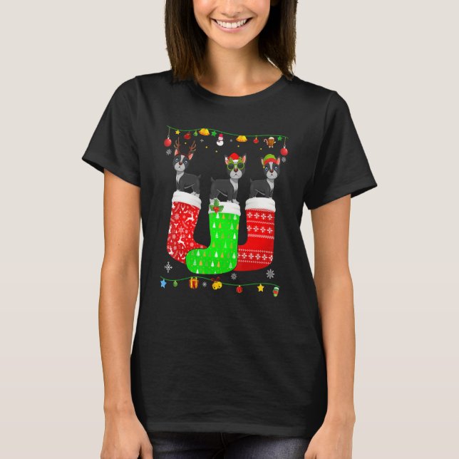 Three Boston Terrier In Christmas Socks Matching X T-Shirt (Front)