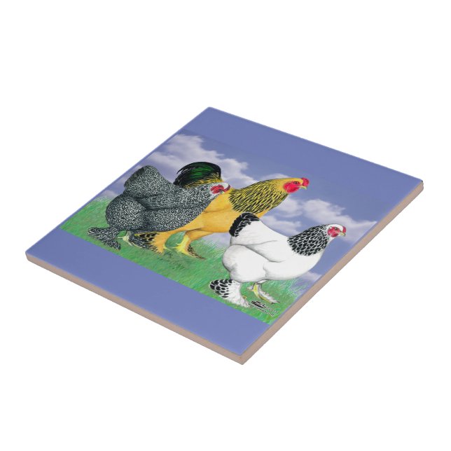 Three Brahmas Ceramic Tile (Side)