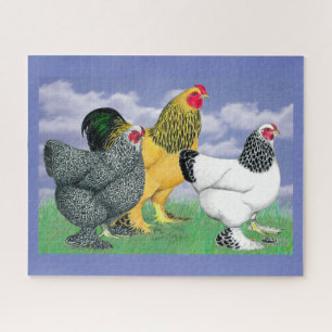 Three Brahmas Jigsaw Puzzle