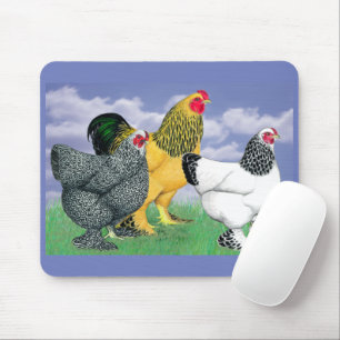 Three Brahmas Mouse Pad