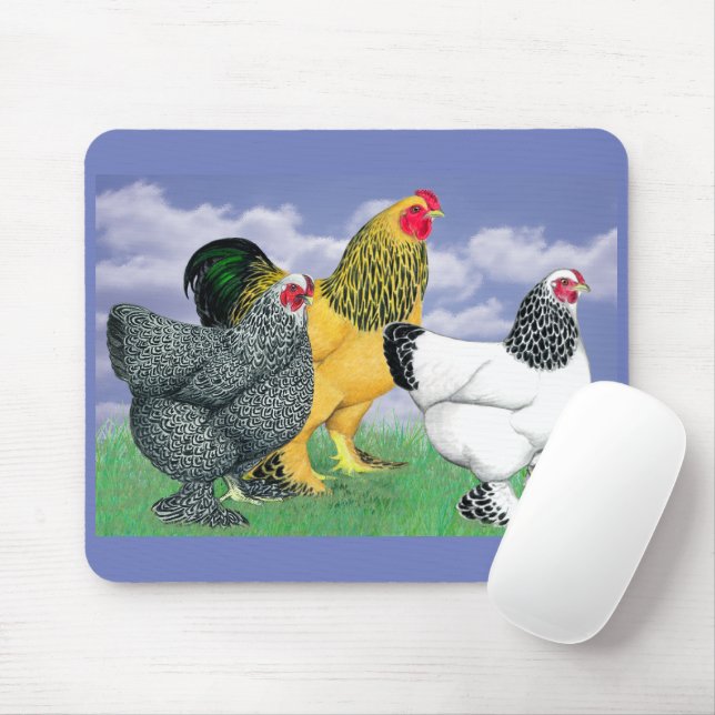 Three Brahmas Mouse Pad (With Mouse)