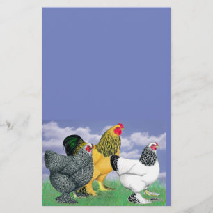 Three Brahmas Stationery