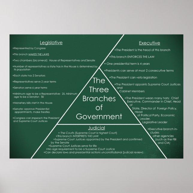 Three Branches of Government Poster (Front)