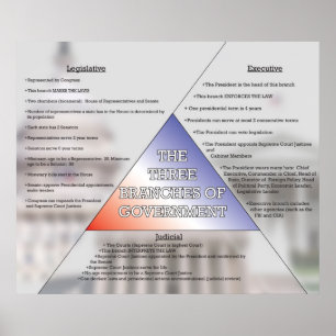 Three Branches of Government *UPDATED* Poster
