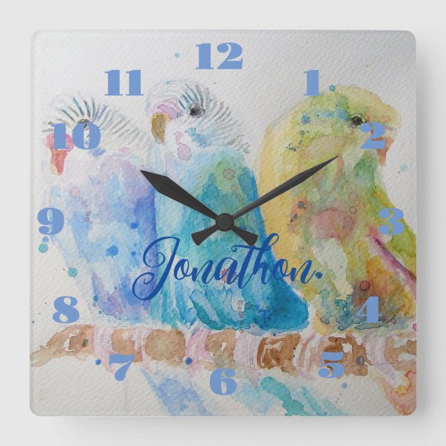 Three Budgies Budgie Budgerigar Boys Room Clock (Front)