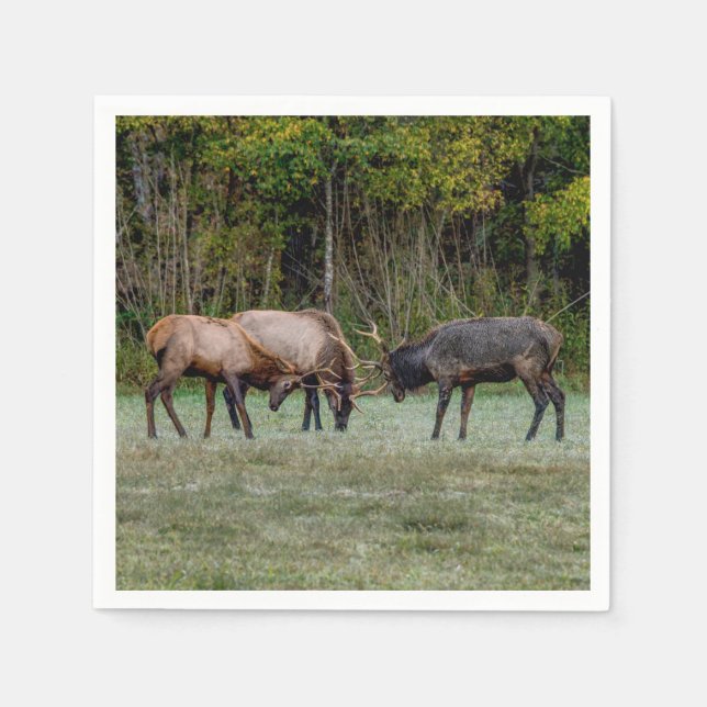 Three Bull Elk Fight Napkin (Front)