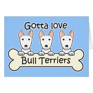 Three Bull Terriers