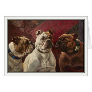 Three Bulldogs by Charles Boland