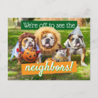 Three Bulldogs in Costumes