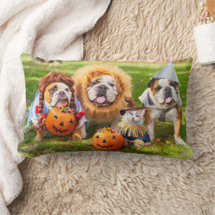Three Bulldogs in Costumes Lumbar Cushion
