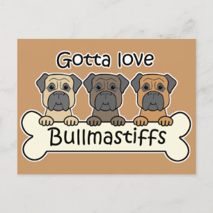 Three Bullmastiffs Postcard