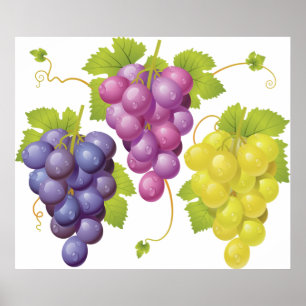 Three Bunches Of Grapes Poster