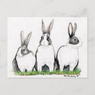 "Three Bunnies" Animal Art Postacard Postcard