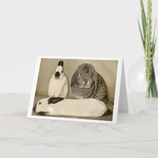 Three Bunnies Greeting Card