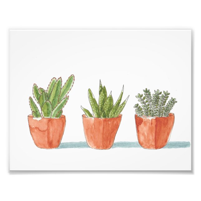 Three Cacti in a Row Photo Print (Front)