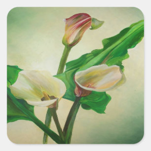 Three Calla Lilies Stunning Botanical Acrylic Square Sticker