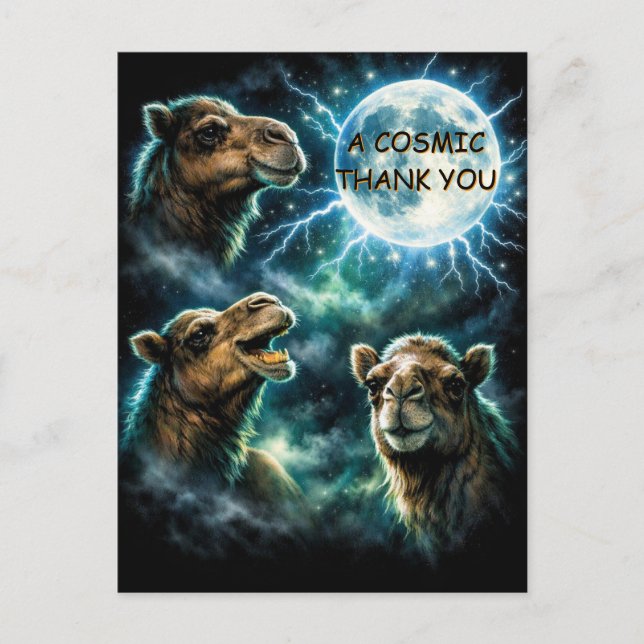Three Camel Moon A Cosmic Thank You Postcard (Front)