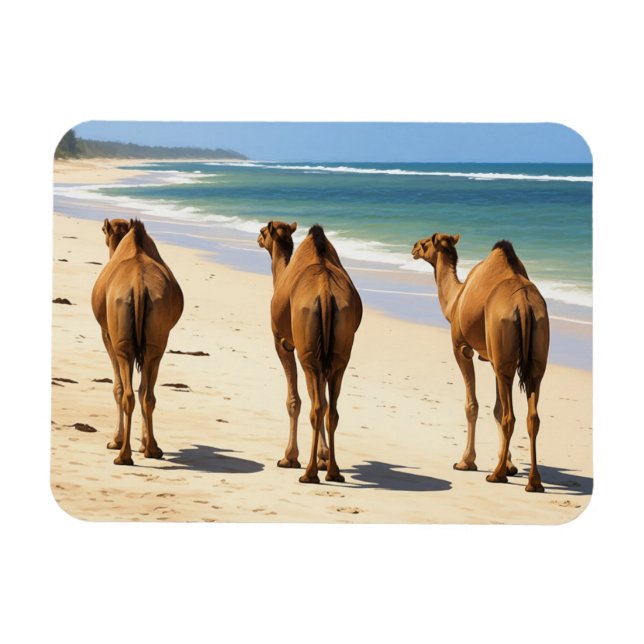 Three Camels on the beach in Mombasa Kenya Magnet (Horizontal)