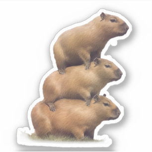 Three Capybaras Funny Capybara Humour Stack Animal
