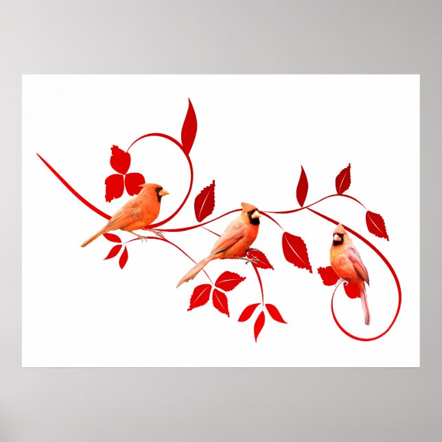 Three Cardinals Poster (Front)