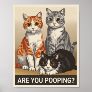 three Cats & a Question Are You Pooping? Funny Cat Poster