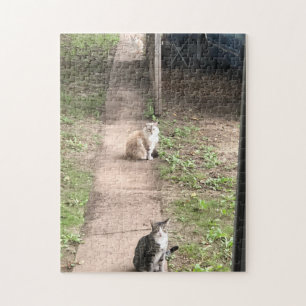 Three Cats Jigsaw Puzzle