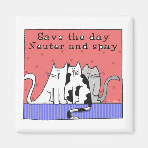Three Cats Neuter and Spay Magnet