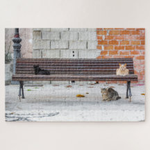 Three Cats on a Bench