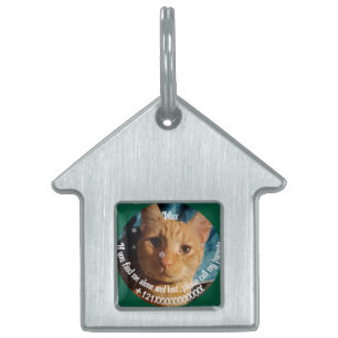 Three Cats Photos, Personalised Christmas Pet ID Tag