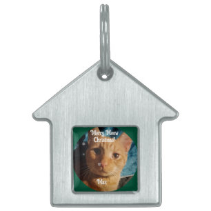 Three Cats Photos, Personalised Christmas Pet ID Tag