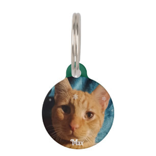 Three Cats Photos, Personalized Christmas  Pet Tag