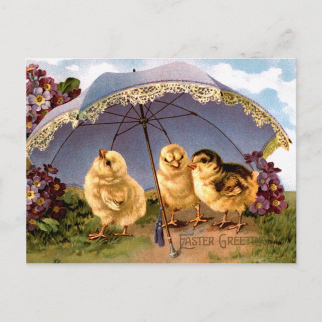 Three Charming Easter Chicks Holiday Postcard (Front)