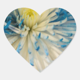 Three Cheers for the Red, White and Blue Heart Sticker