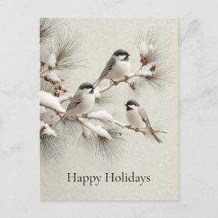 Three Chickadees on a Snow-Dusted Pine Branch Postcard