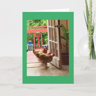Three Chickens notecard